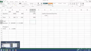 Elasticity Excel file help