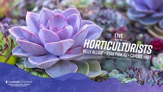 All About Succulents LIVE with the Horticulturists!