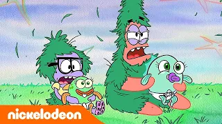 El show de Patricio estrella | ¡Patricio vs. bebés! | Nickelodeon en Español