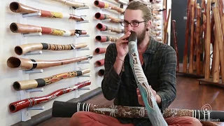 Didgeridoo Buyers Guide - The bell end - 1 of 10