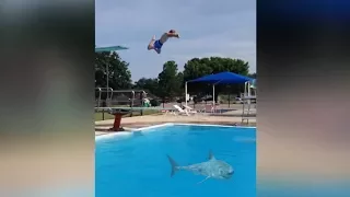he didn't see it coming.. (diving board fails)