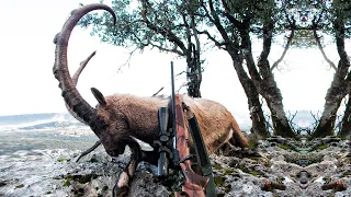 Huglu Ovis Bezoar Ibex Hunting in Turkey | Huğlu Ovis Yaban Keçisi Avı