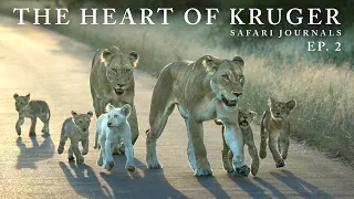 Safari Journals: Kruger National Park | Maroela & Satara | Ep. 2