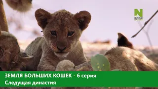 Земля больших кошек. 6 серия. Следующая династия