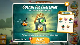 Angry Birds 2 AB2 Golden Pig Challenge! STRIKE! (Very Low FP)