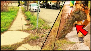 City Took NO ACTION To Cleanup This OVERGROWN Sidewalk So I Did