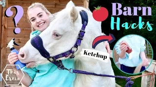 BARN HACKS | Life Hacks Every Equestrian NEEDS to Know! | This Esme