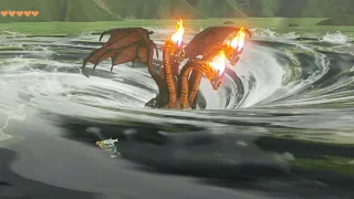 What if the Flame Gleeok falls into the CENTER of the whirlpool? (2nd Experiment)