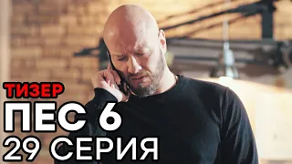 Сериал ПЕС 6 - 6 сезон - 29 серия - ТИЗЕР | СЕРИАЛЫ ICTV