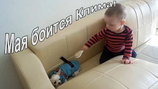 VLOG: Клим поссорился с Макой / Погоня за кисками