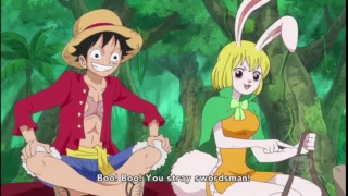 One Piece episode 775 | ❤Carrot makes fun of 💢Zoro boo boo
