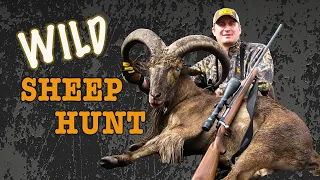 Wild Sheep Hunting with Guy Eastman (Texas Aoudad Hunting)