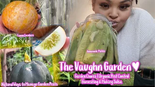 The Vaughn Garden | Vlog Ep  02 | Organic Pest Control & Making Pickles