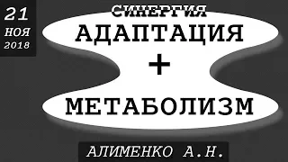 Реальность синергии адаптационного и метаболического синдрома. Алименко А.Н. (21.11.2018)