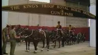 1985 Royal Tournament - Kings Troop RHA