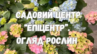 САДОВИЙ ЦЕНТР «ЕПІЦЕНТР». ОГЛЯД РОСЛИН З ЦІНАМИ