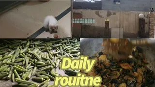 MY DAILY ROUTINE | OR GHAR ME AI NAI MEHMAN | SHAZIA KITCHEN