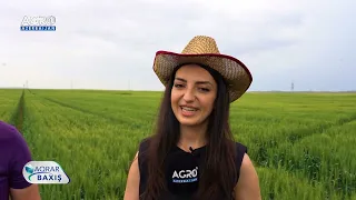 "Aqrar Baxış" | "Agro Dairy" şirkəti Tovuzda fermerlər üçün “Açıq Qapı” günü keçirib