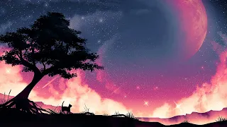 Night Wish 🎵 Chill Lofi Music To Study 2022 🎵 Lofi Hip Hop No Copyright Chillhop #230