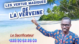 LES VERTUS MAGIQUES ET INCROYABLES DE LA VERVEINE (Français)