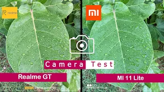 Realme GT vs Mi 11 Lite| Camera Comparison |Camera Test | Tech Song |