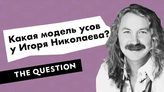 Какая модель усов  у Игоря Николаева?