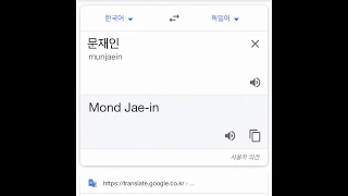 문재인 독일어