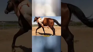 "Este Caballo tiene un IQ de 200 ❤"