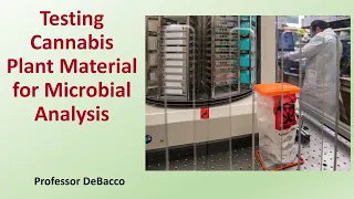 Testing Cannabis Plant Material for Microbial Analysis