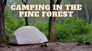 SOLO CAMPING In The Pine Forest with Rain - Relaxing Camp by the River  - ASMR