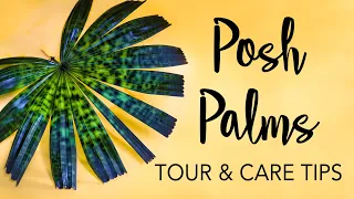 Rare Palms: Tour & Tips