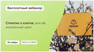 Сплетни о клетке, или её жизненный цикл | Биология 10 класс | Умскул