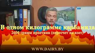 Шроты, жмыхи, пропиленгликоль, аминокислоты, что же нужно дойной корове