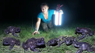 Catch Many Frogs At Night Goes To Countryside Market Sell - Ducks Care | Phuong Free Bushcraft