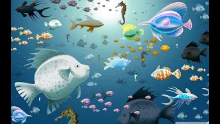 All About Fish for Kids | Learn the characteristics of Fish | What is a Fish = My Happiness