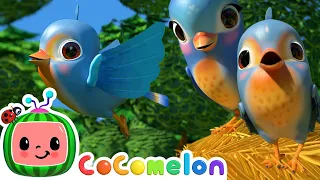 Five Little Birds | Baby Animals For Kids | CoComelon Animal Time