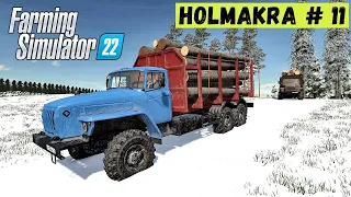 FS 22 - Доски для СТРОЙКИ.  Планы на ВЕСНУ.  Лесоруб в Глуши  HOLMAKRA # 11