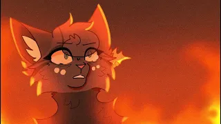 Burned|| Hollyleaf Animation + process