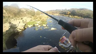 рыбалка река Тосна 2023