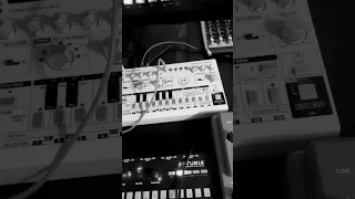 Hard analog techno #td3 #neutron #pwm malevolent #tr8s