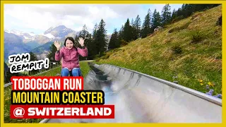 🇨🇭 TOBOGGAN / Mountain Coaster at Switzerland (Rodelbahn Oeschinensee)