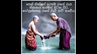 Monk and the scorpion භික්ෂුව සහා ගෝනුස්සාගේ කතාව