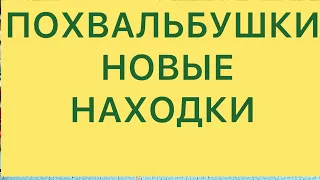 НОВЫЕ НАХОДКИ. ВИНТАЖ. ПОХВАЛЬБУШКИ. @larisatabashnikova 22/05/24