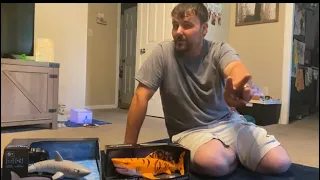 Robo shark($30) vs Walmart shark($15)- unboxing & test￼￼- RC Cincy