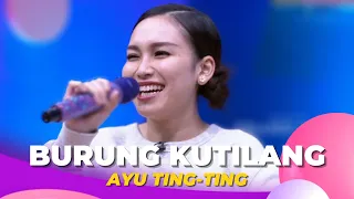 Burung Kutilang | Ayu Ting Ting | BROWNIS (18/10/22)