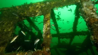 Scraps from old Tappan Zee Bridge used for artificial reef