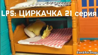 LPS: Циркачка 21 серия