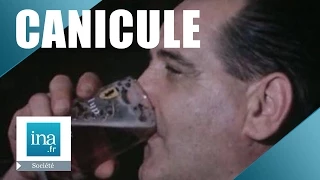 Canicule: quand la télé conseillait de boire 1,5 litre de bière par jour | Archive INA