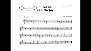 9a Black Ode to Joy Recorder Karate