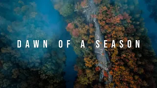 "Autumn" | Dawn of a Season | Ardennes 4K Cinematic Video